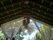 In the Tree House