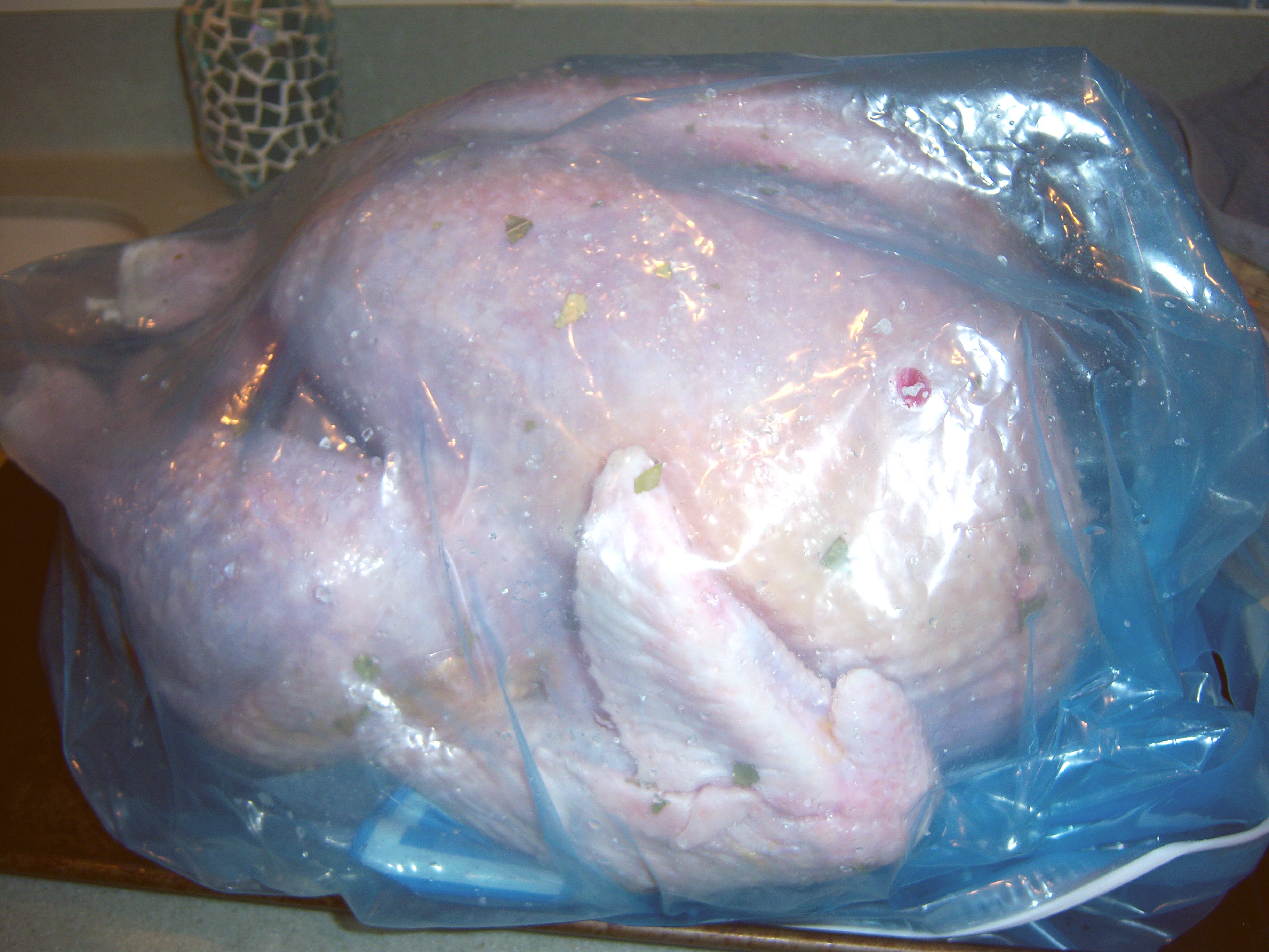 Turkey in a bag
