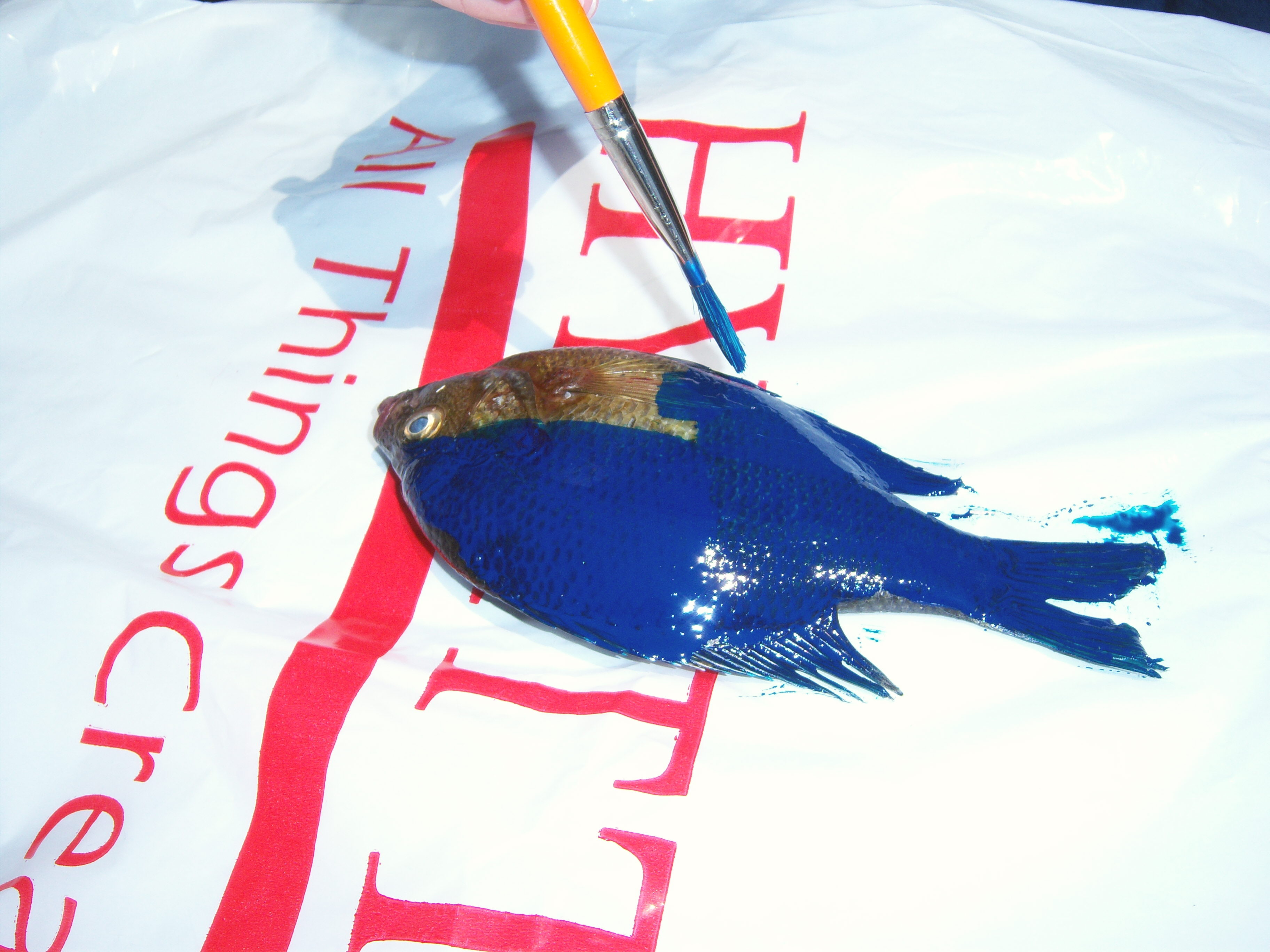Fish Print Using Ink Fishy Business - Putting It All On The Table