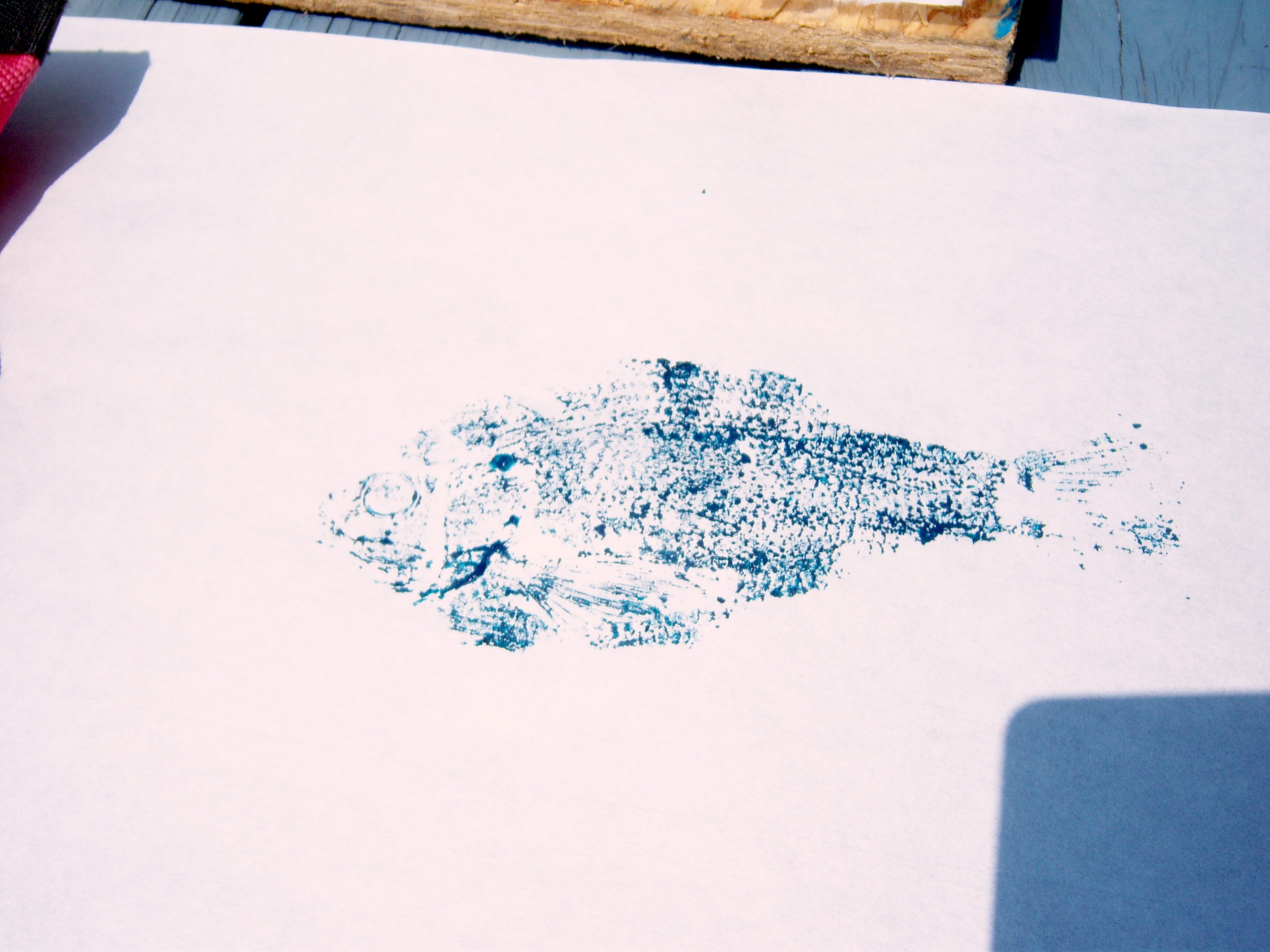 Fish Print Using Ink Fishy Business - Putting It All On The Table