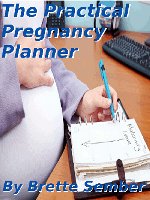 The Practical Pregnancy Planner (eBook)
