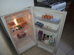 The stocked fridge